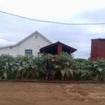 agriculture page gallery