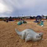 Playgrounds ReadyPlay EWF