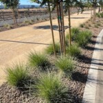 Tracy Promontory 10