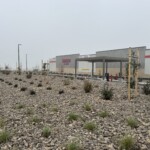 Costco Roseville | My Bark Co.
