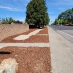 MyBark Co Roseville CA Commercial Landscaping 3