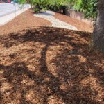 MyBark Co Roseville CA Commercial Landscaping 5